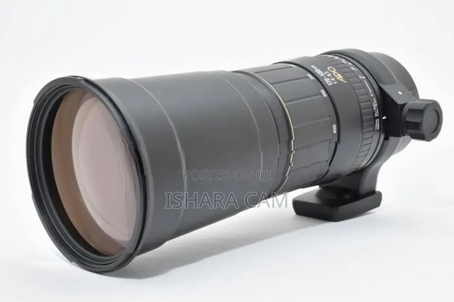 Canon 170-500 DSLR Lens
