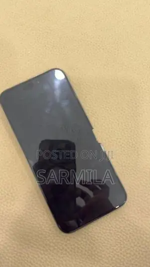 Apple iPhone 15 Pro Max 256GB (Used)