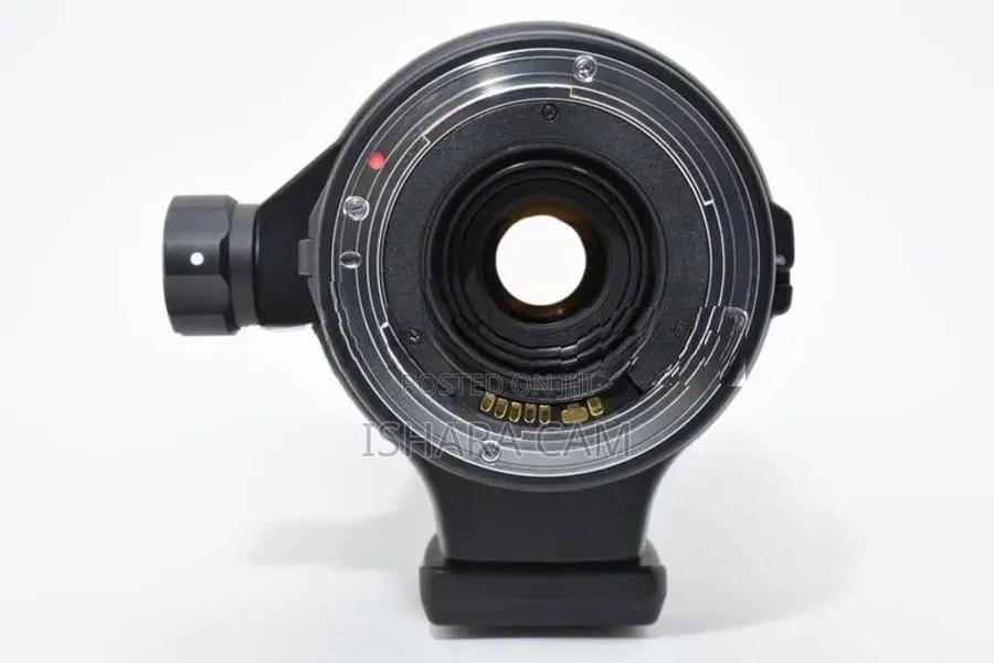 Canon 170-500 DSLR Lens