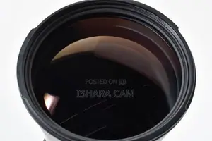 Canon 170-500 DSLR Lens