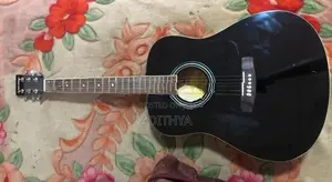 Suzuki SDG 2BK Guitar