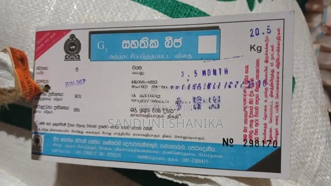 බිත්තර වී