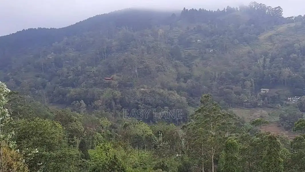 බණ්ඩාරවෙල නුවරඑළිය පාරට 2km 360° දසුනක් සහිත ඉඩම