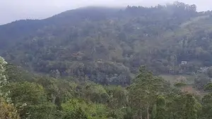බණ්ඩාරවෙල නුවරඑළිය පාරට 2km 360° දසුනක් සහිත ඉඩම