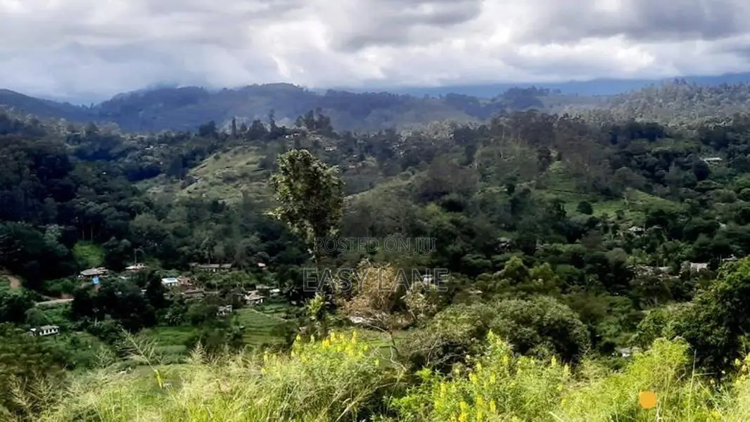 බණ්ඩාරවෙල නුවරඑළිය පාරට 2km 360° දසුනක් සහිත ඉඩම