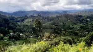 බණ්ඩාරවෙල නුවරඑළිය පාරට 2km 360° දසුනක් සහිත ඉඩම