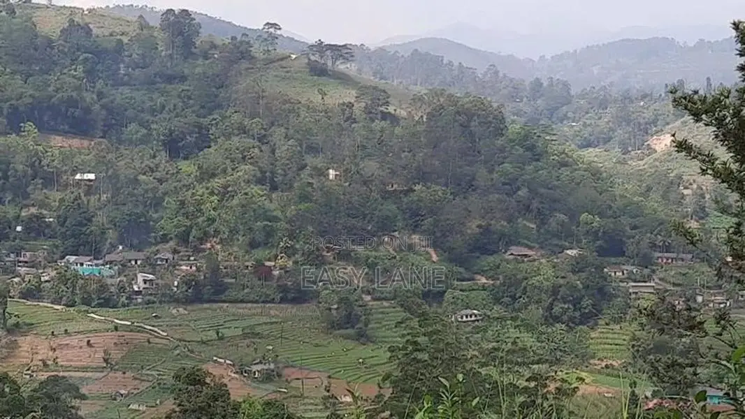 බණ්ඩාරවෙල නුවරඑළිය පාරට 2km 360° දසුනක් සහිත ඉඩම