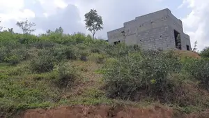 බණ්ඩාරවෙල නුවරඑළිය පාරට 2km 360° දසුනක් සහිත ඉඩම