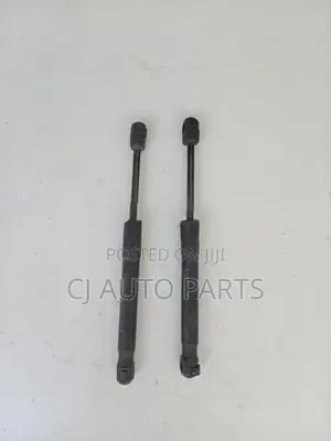 Mazda Axela BK5P Dicky Shocks