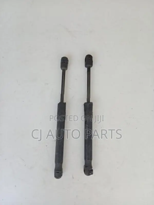 Mazda Axela BK5P Dicky Shocks