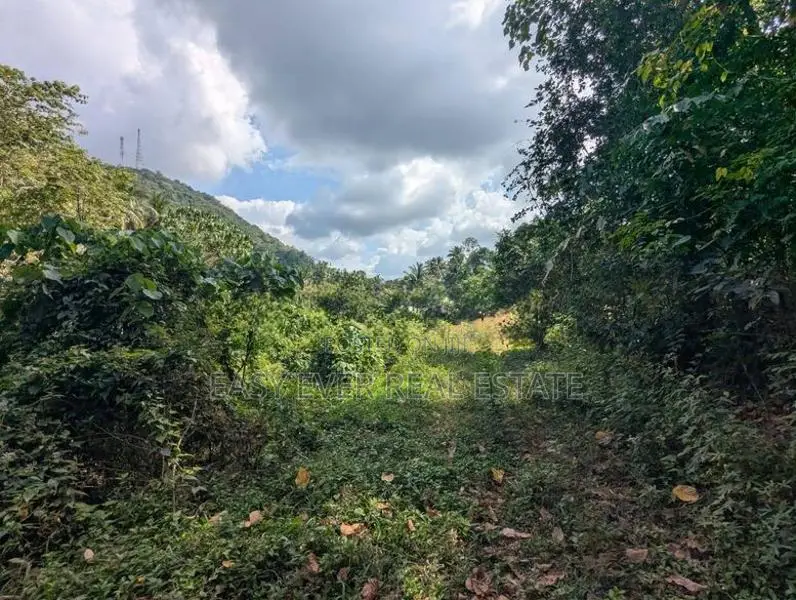 මීරිගම - අධිවේගී පිවිසුමට ඉතාම ආසන්නව ඉඩමක්