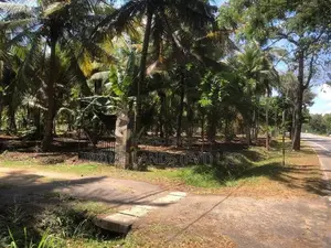 ව්‍යාපාරික බිම් කොටසක් විකිනීමට බලල්ල