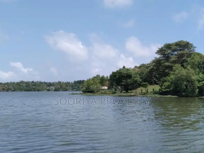 Bolgoda Lake Facing Land for Sale in Moratuwa