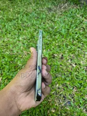 Apple iPhone 13 Pro Max 256GB (Used)