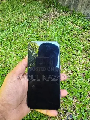 Apple iPhone 13 Pro Max 256GB (Used)