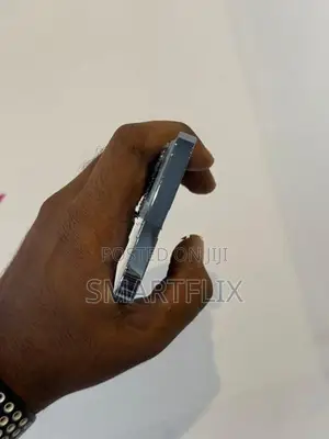 Apple iPhone 13 Pro (Used)