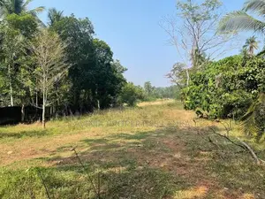 Land for Sale in Medagampitiya, Veyangoda - THI0075L