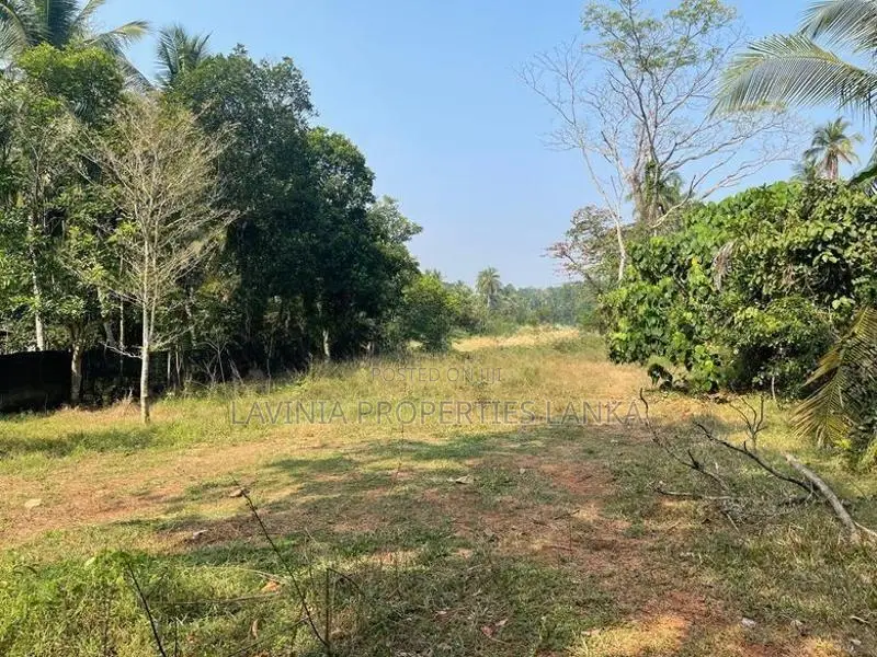 Land for Sale in Medagampitiya, Veyangoda - THI0075L