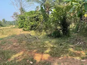 Land for Sale in Medagampitiya, Veyangoda - THI0075L
