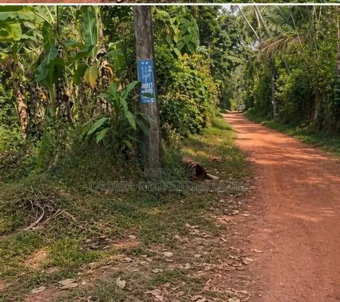 Land for Sale in Medagampitiya, Veyangoda - THI0075L