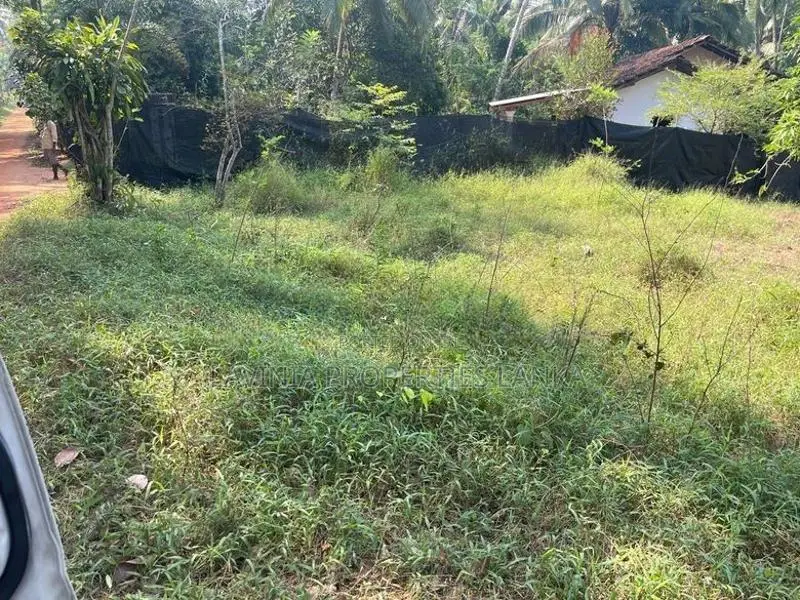 Land for Sale in Medagampitiya, Veyangoda - THI0075L