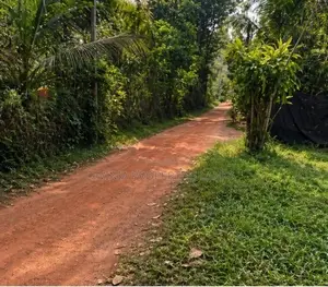 Land for Sale in Medagampitiya, Veyangoda - THI0075L