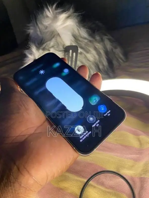 Apple iPhone 12 Pro (Used)
