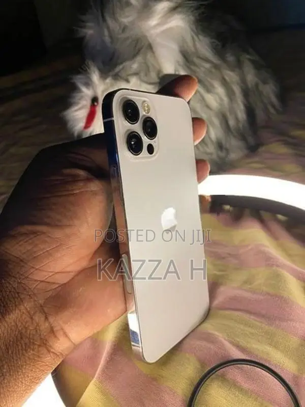 Apple iPhone 12 Pro (Used)