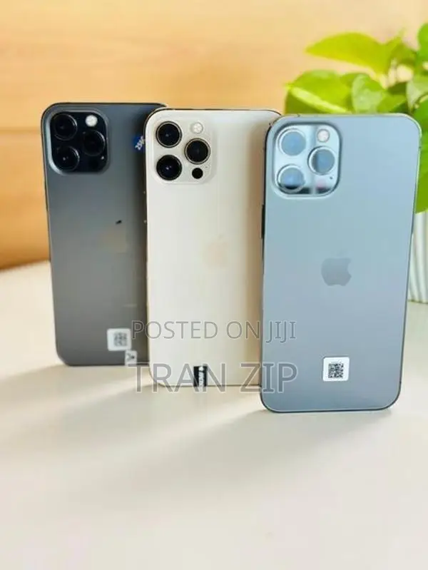 Apple iPhone 12 Pro 256GB (Used)