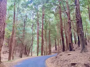 Land for Sale in Haputhale