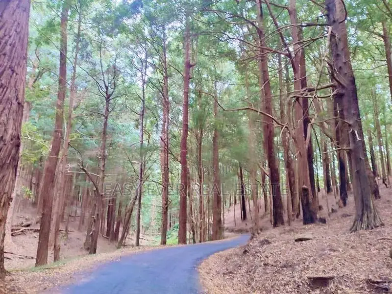 Land for Sale in Haputhale
