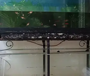 Fish Tank
