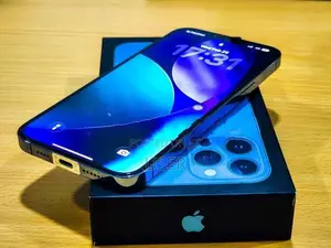 Apple iPhone 13 Pro Max 512GB (Used)