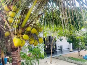 House for sale - Pottuvil