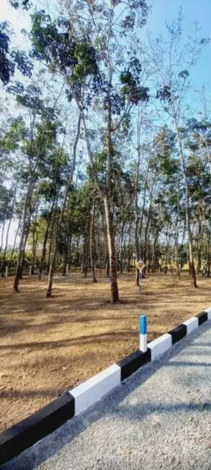 Valuable Land Plots Near Panadura Hospital