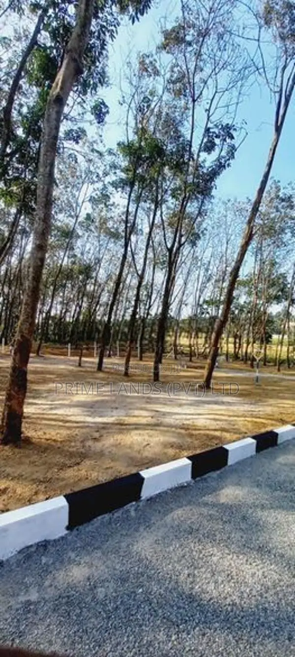 Valuable Land Plots Near Panadura Hospital