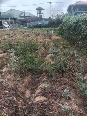 Land for Sale in Nuwara Eliya City Front of Gegory Lake