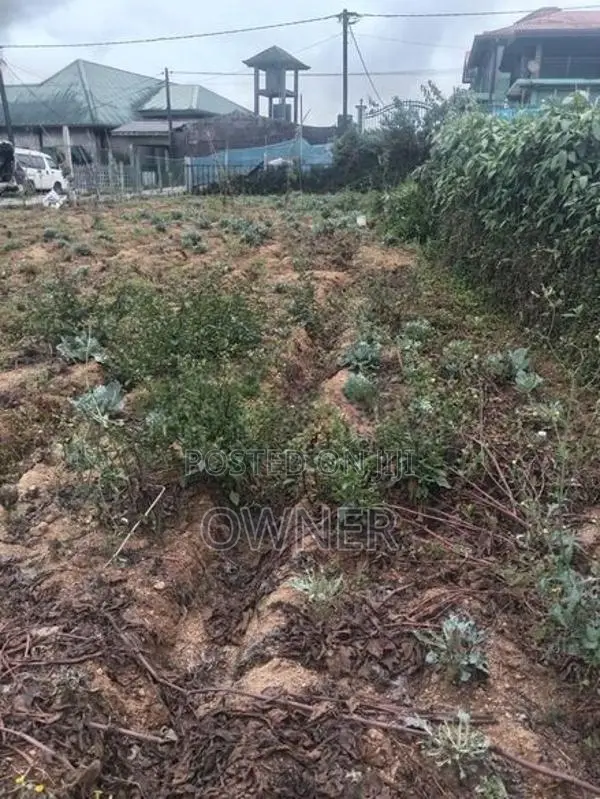 Land for Sale in Nuwara Eliya City Front of Gegory Lake