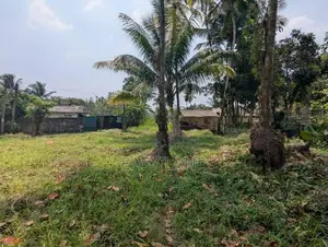 Land For Sale In Weliweriya