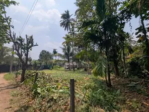 Land For Sale In Weliweriya