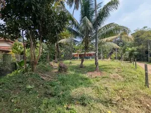Land For Sale In Weliweriya