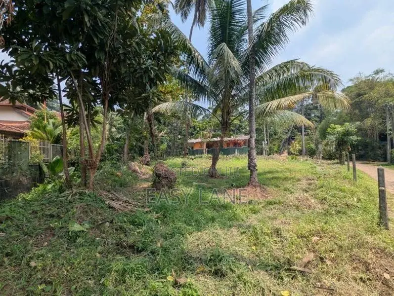 Land For Sale In Weliweriya