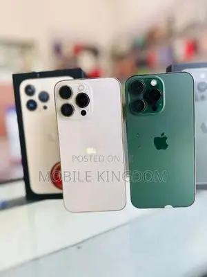 Apple iPhone 13 Pro 256GB Fullset Box (Used)