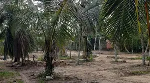 Land for sale In Kesbewa