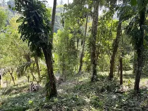 Land For Sale In Kandy