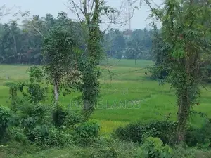 කලුතර බිම් කොටස් විකිණීමට