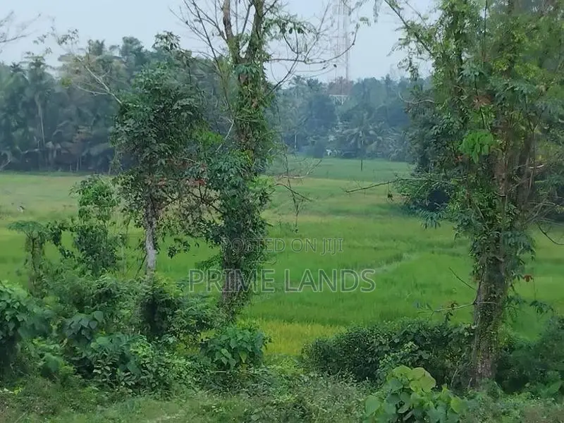 කලුතර බිම් කොටස් විකිණීමට