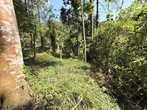 Land For Sale In Kandy