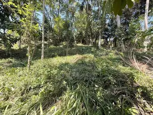 Land For Sale In Kandy