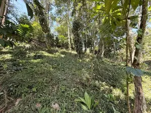 Land For Sale In Kandy